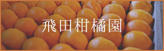 飛田柑橘園